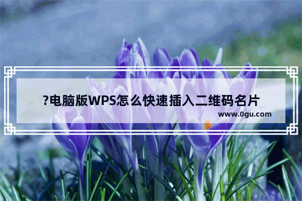 ?电脑版WPS怎么快速插入二维码名片