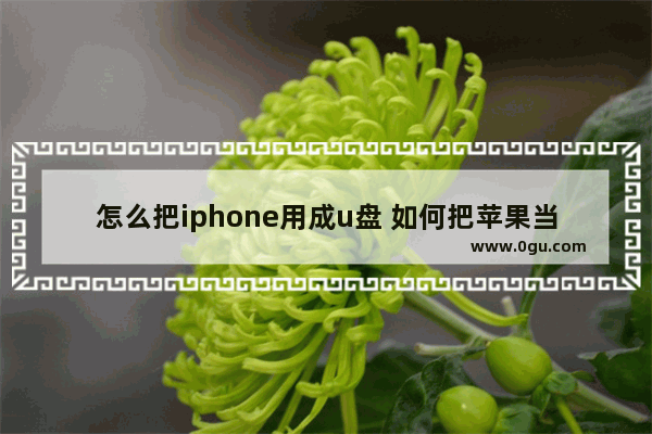 怎么把iphone用成u盘 如何把苹果当u盘