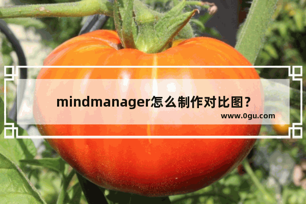 mindmanager怎么制作对比图？