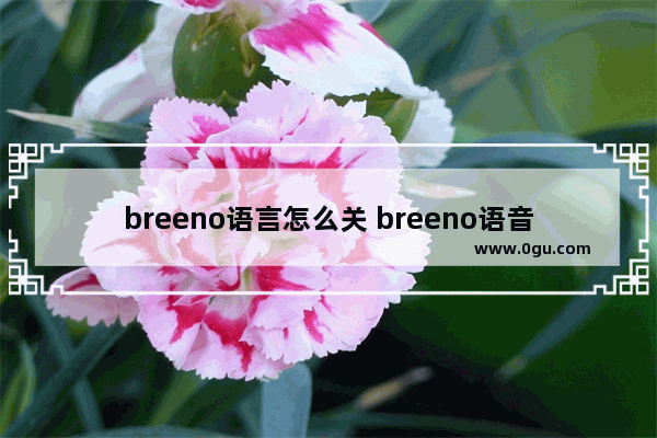 breeno语言怎么关 breeno语音设置