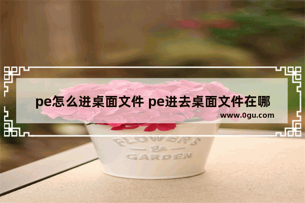 pe怎么进桌面文件 pe进去桌面文件在哪