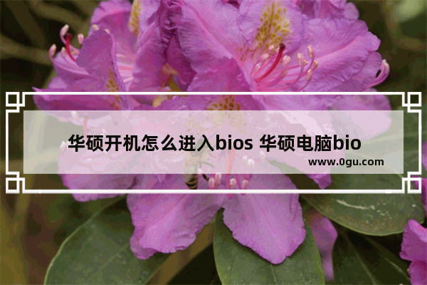 华硕开机怎么进入bios 华硕电脑bios怎么进入