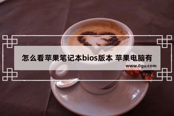 怎么看苹果笔记本bios版本 苹果电脑有bios