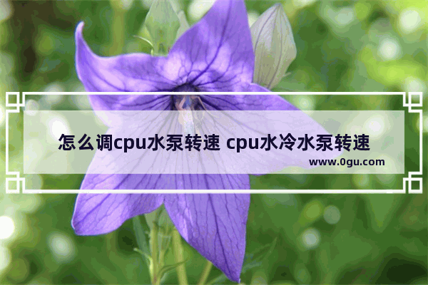 怎么调cpu水泵转速 cpu水冷水泵转速调节