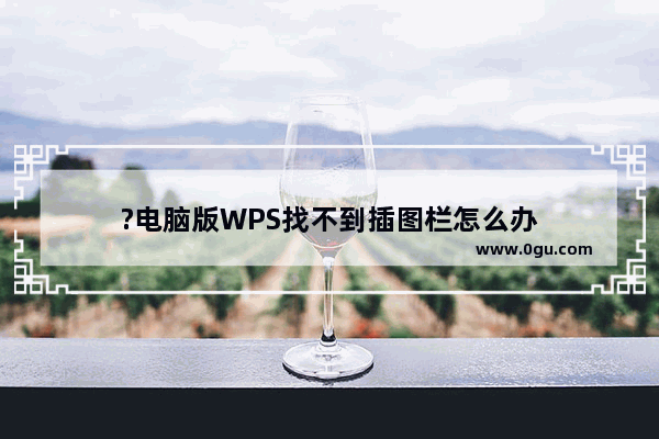 ?电脑版WPS找不到插图栏怎么办