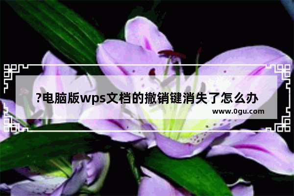 ?电脑版wps文档的撤销键消失了怎么办