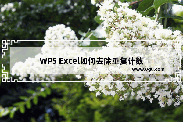 WPS Excel如何去除重复计数