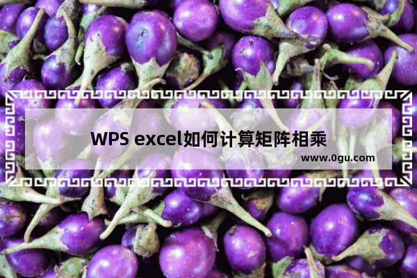 WPS excel如何计算矩阵相乘