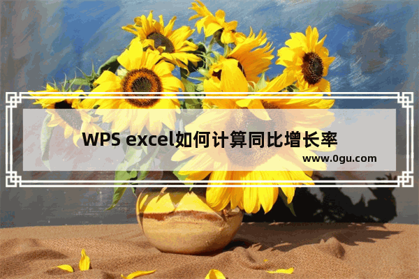 WPS excel如何计算同比增长率