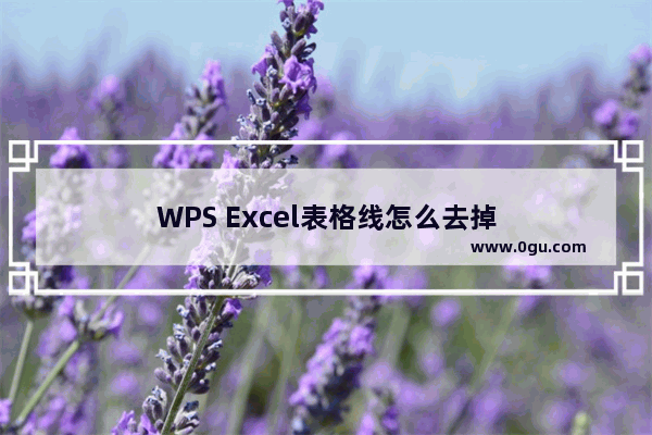 WPS Excel表格线怎么去掉