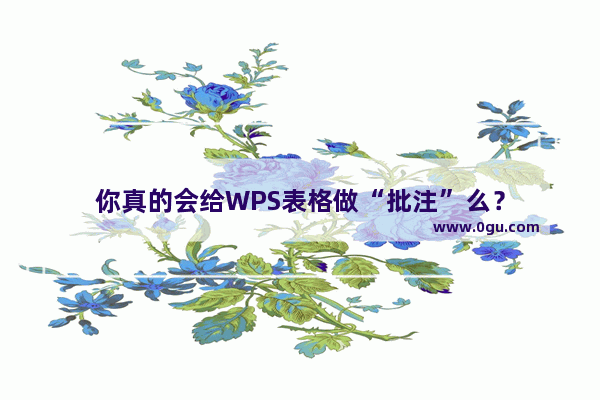 你真的会给WPS表格做“批注”么？