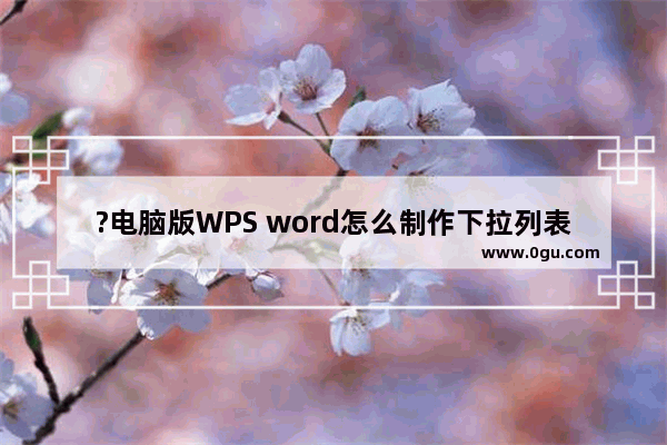 ?电脑版WPS word怎么制作下拉列表