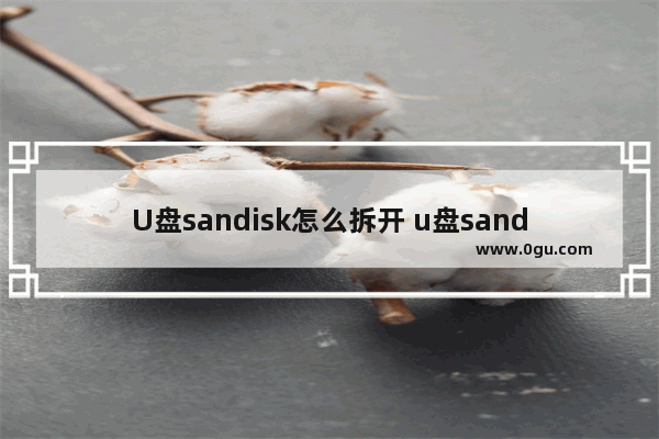 U盘sandisk怎么拆开 u盘sandisk是什么意思