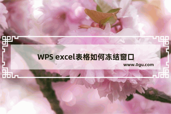 WPS excel表格如何冻结窗口