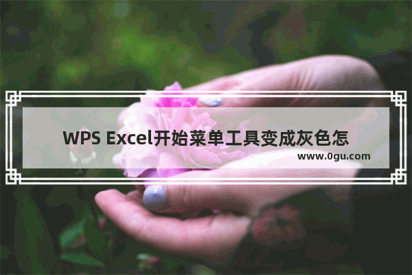 WPS Excel开始菜单工具变成灰色怎么解决 WPS Excel开始菜单工具灰色不能操作解决方法