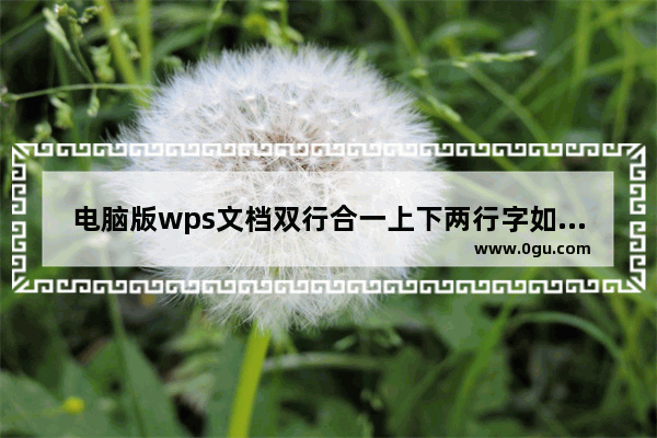 电脑版wps文档双行合一上下两行字如何对齐