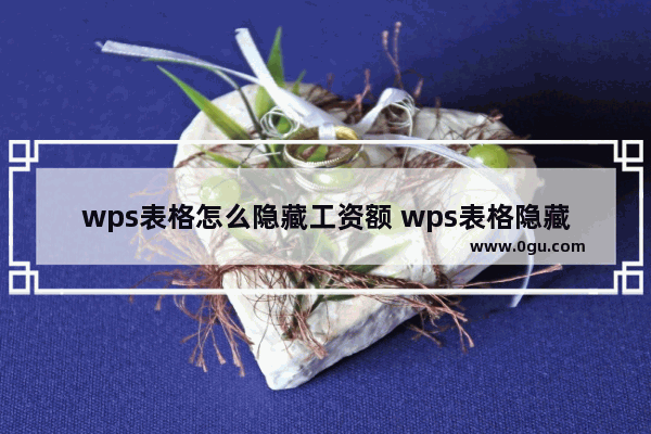 wps表格怎么隐藏工资额 wps表格隐藏工资的方法