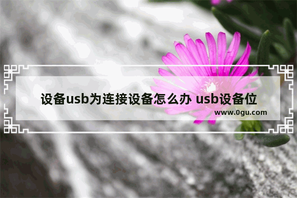 设备usb为连接设备怎么办 usb设备位于其他设备