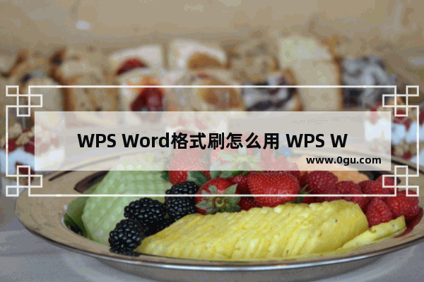 WPS Word格式刷怎么用 WPS Word中的格式刷连读使用的方法