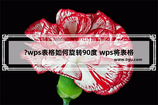 ?wps表格如何旋转90度 wps将表格旋转90度的方法