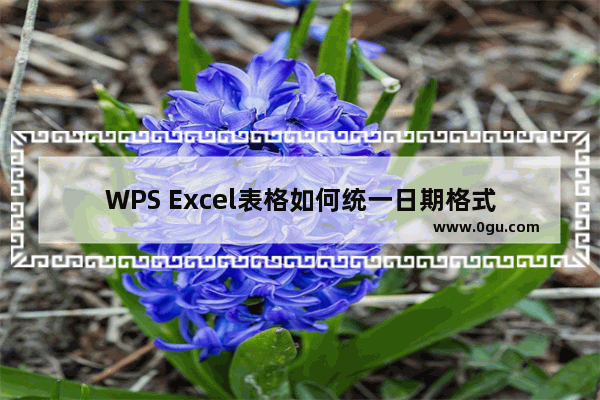 WPS Excel表格如何统一日期格式