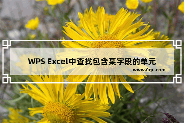 WPS Excel中查找包含某字段的单元格