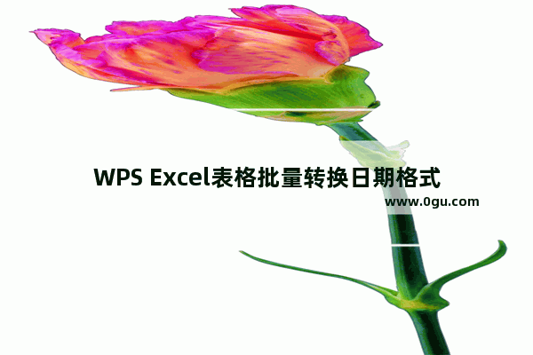 WPS Excel表格批量转换日期格式