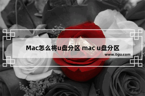 Mac怎么将u盘分区 mac u盘分区