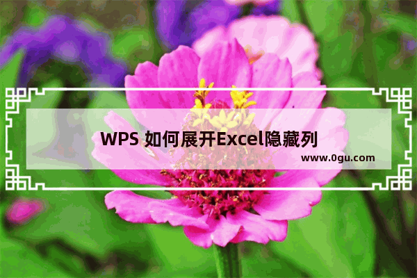 WPS 如何展开Excel隐藏列