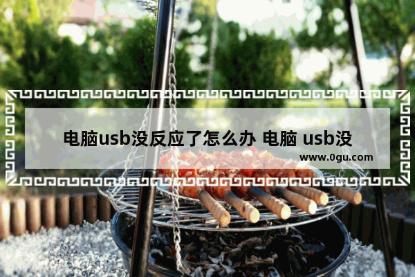 电脑usb没反应了怎么办 电脑 usb没反应