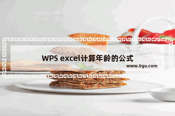 WPS excel计算年龄的公式