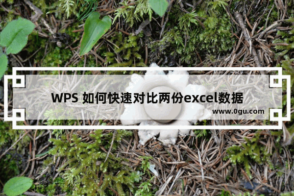 WPS 如何快速对比两份excel数据