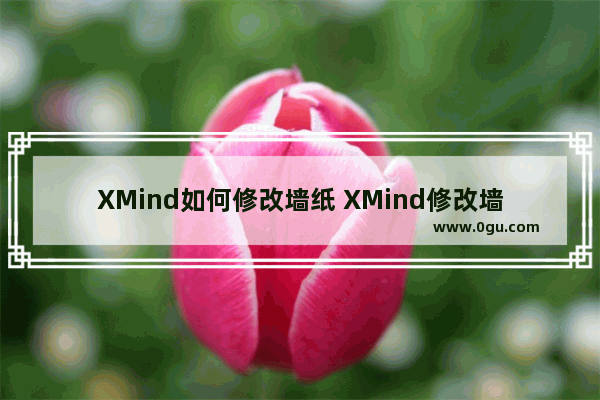 XMind如何修改墙纸 XMind修改墙纸的方法