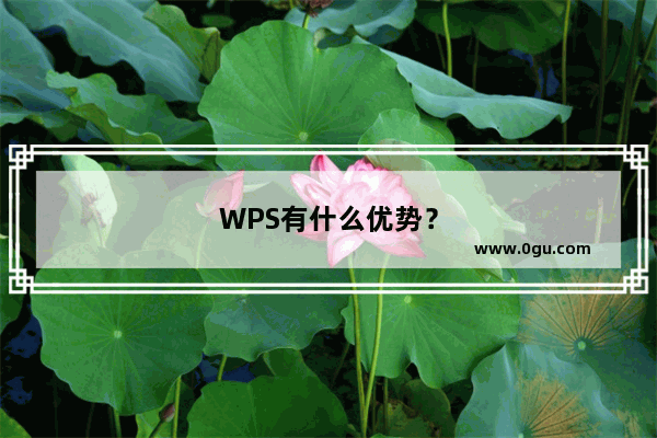 WPS有什么优势？