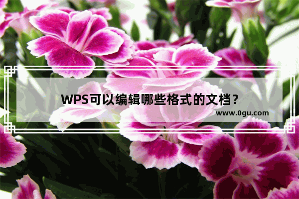 WPS可以编辑哪些格式的文档？