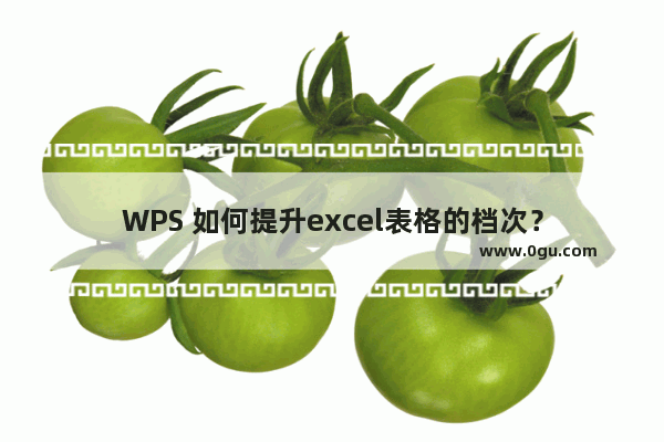 WPS 如何提升excel表格的档次？