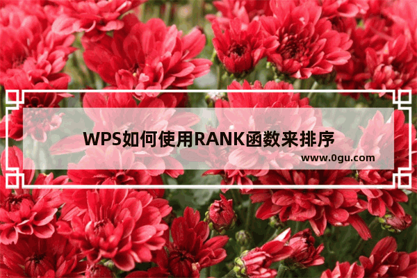 WPS如何使用RANK函数来排序