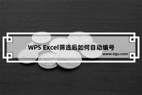 WPS Excel筛选后如何自动编号