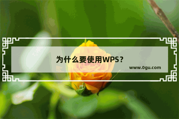 为什么要使用WPS？