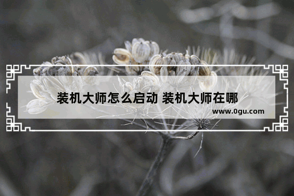 装机大师怎么启动 装机大师在哪