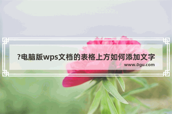 ?电脑版wps文档的表格上方如何添加文字