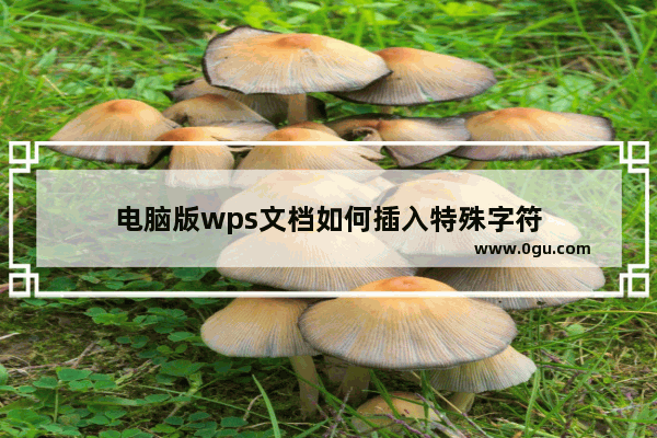 电脑版wps文档如何插入特殊字符