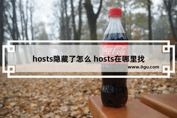 hosts隐藏了怎么 hosts在哪里找