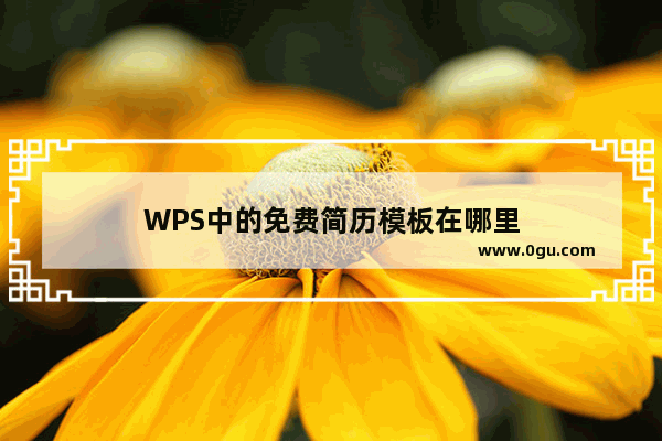 WPS中的免费简历模板在哪里