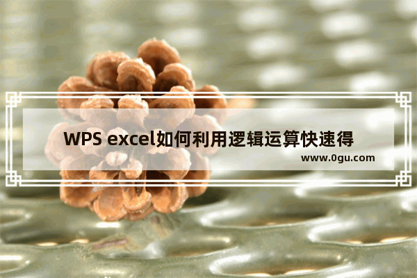 WPS excel如何利用逻辑运算快速得出条件值