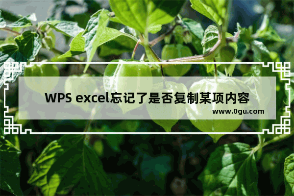 WPS excel忘记了是否复制某项内容，不得不重新复制，实际上没有必要