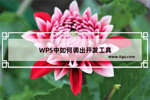 WPS中如何调出开发工具