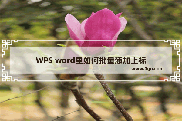 WPS word里如何批量添加上标