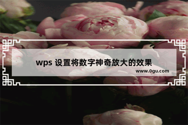 wps 设置将数字神奇放大的效果