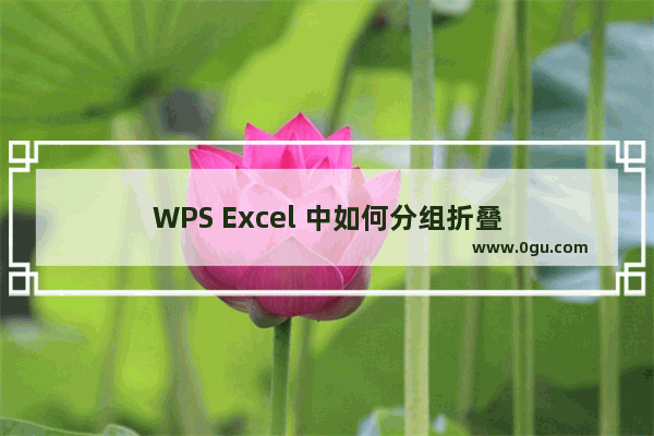 WPS Excel 中如何分组折叠